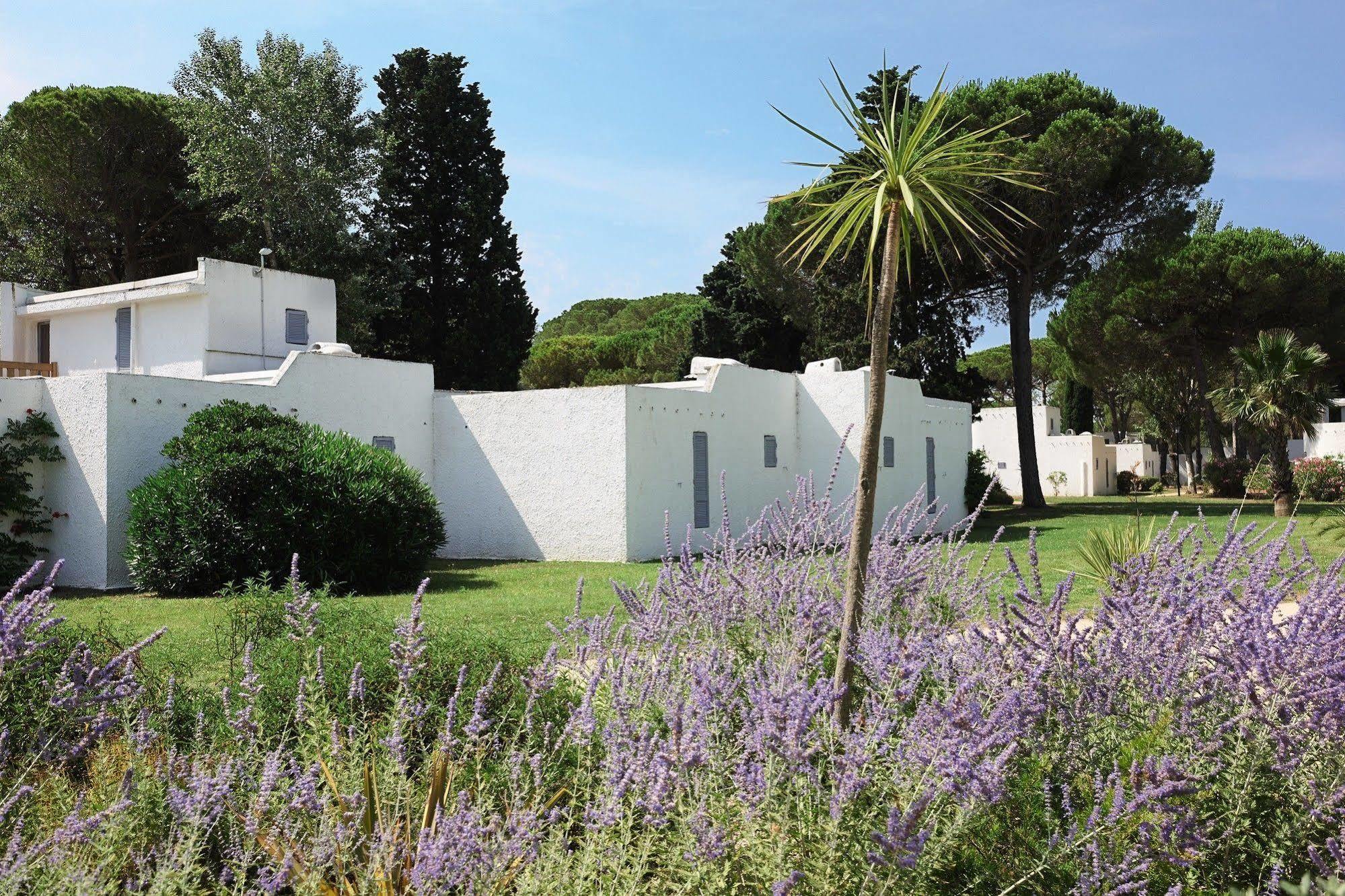 Belambra Clubs Residence La Grande Motte - Petite Camargue Presqu'Ile Du Ponant Exteriör bild